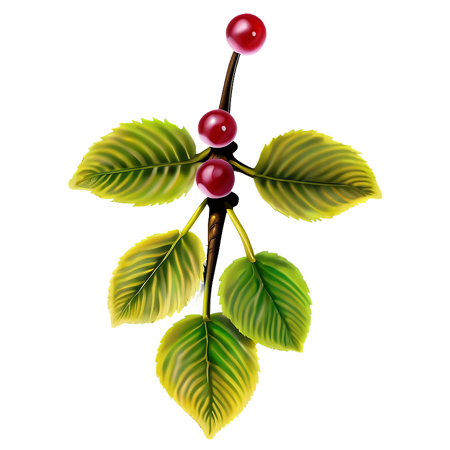 Cherry Tree Close-up Png Usk PNG image