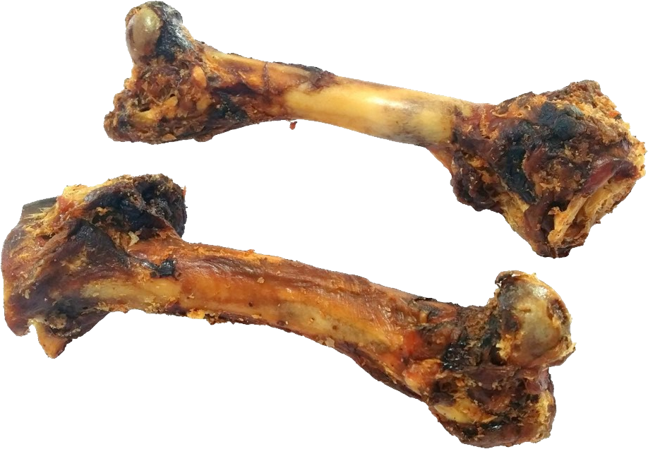 Chewed Dog Bones PNG image