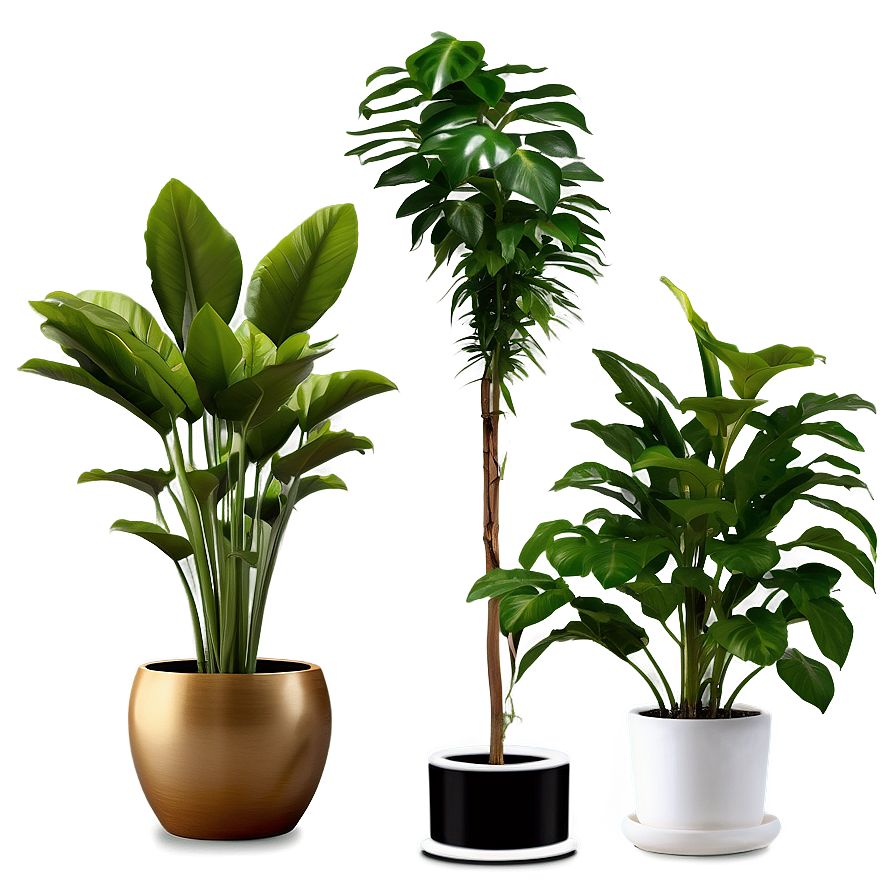 Chic Floor Plant Png Otq PNG image