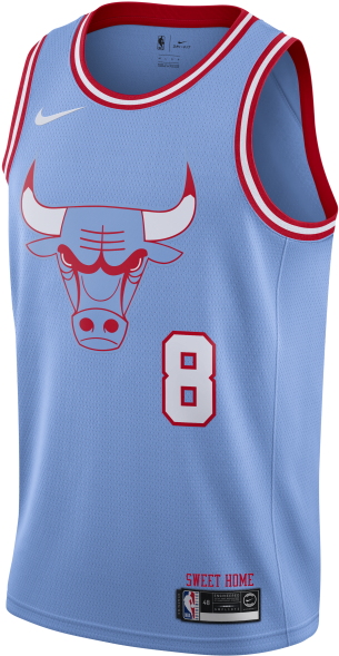 Chicago Bulls Blue Jersey Number8 PNG image