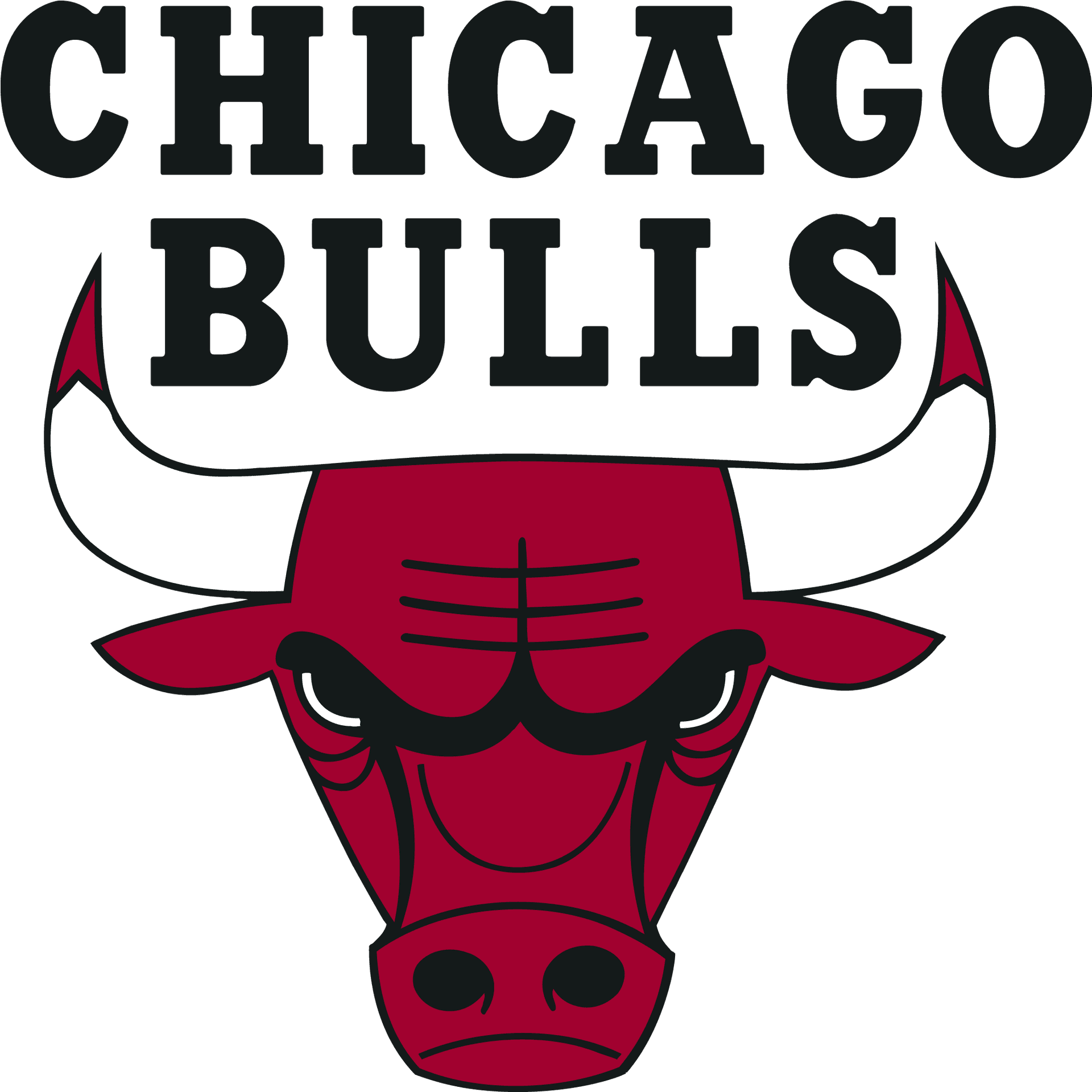 Chicago Bulls Logo Graphic PNG image