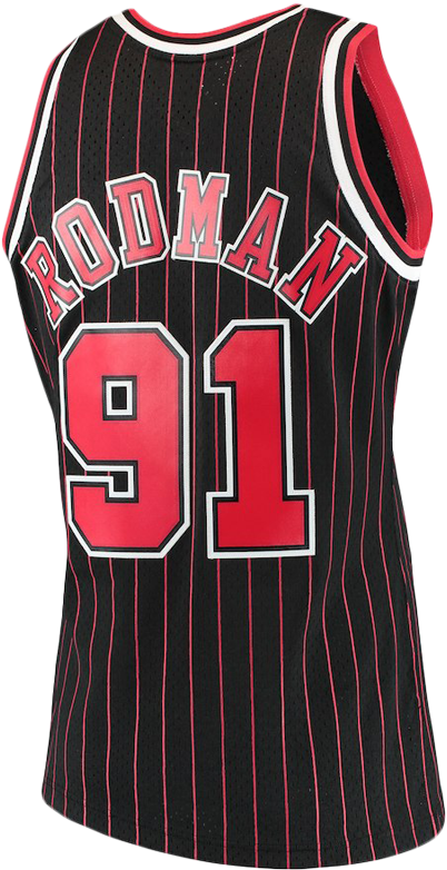 Chicago Bulls Rodman91 Jersey PNG image