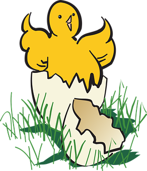 Chick Hatching From Egg PNG image