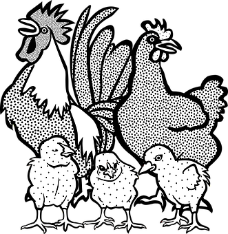 Chicken Family Illustration PNG image