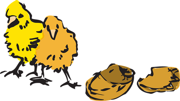 Chicks_ Hatching_ From_ Eggs_ Vector PNG image