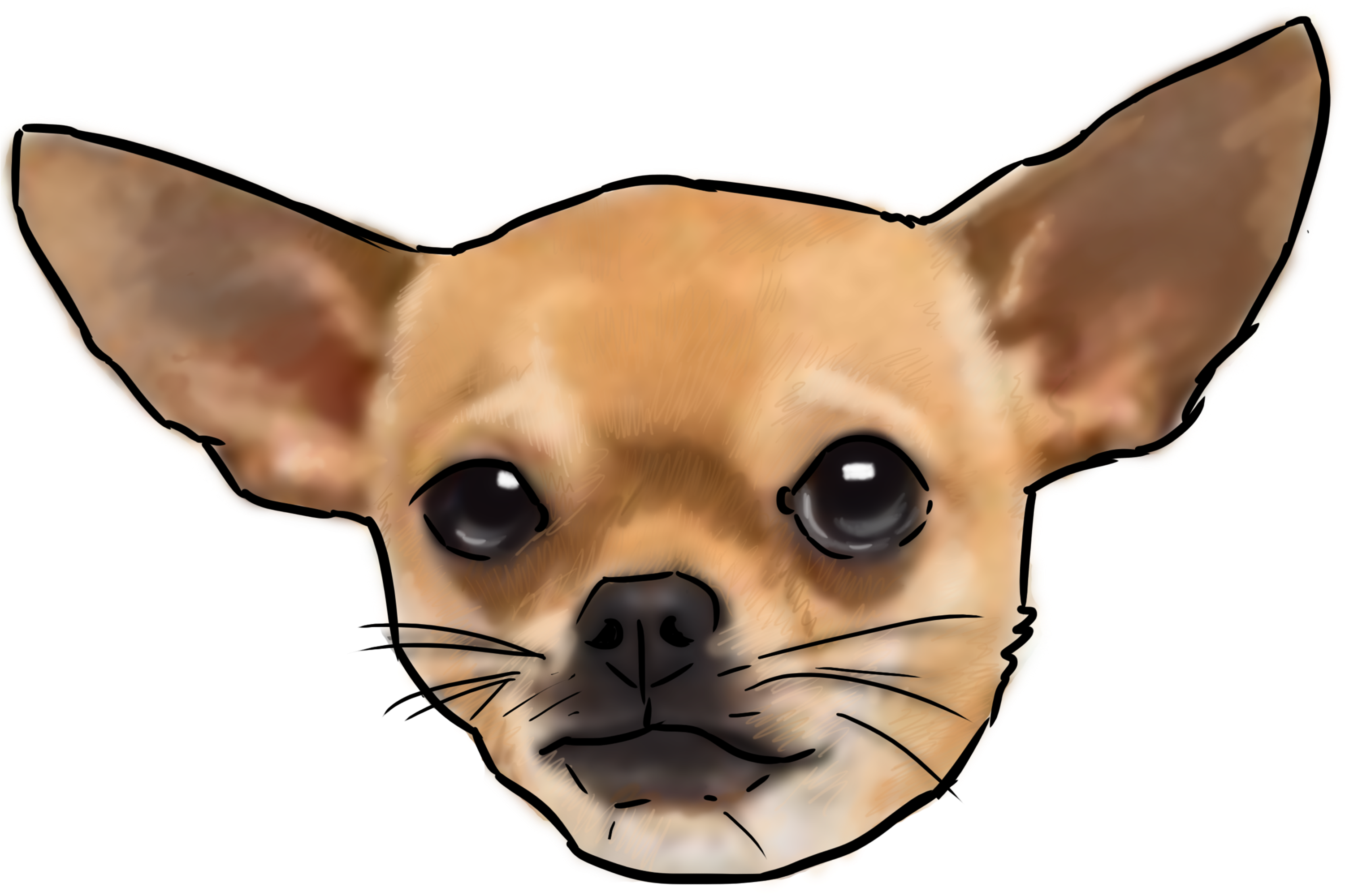 Chihuahua Head Illustration.png PNG image