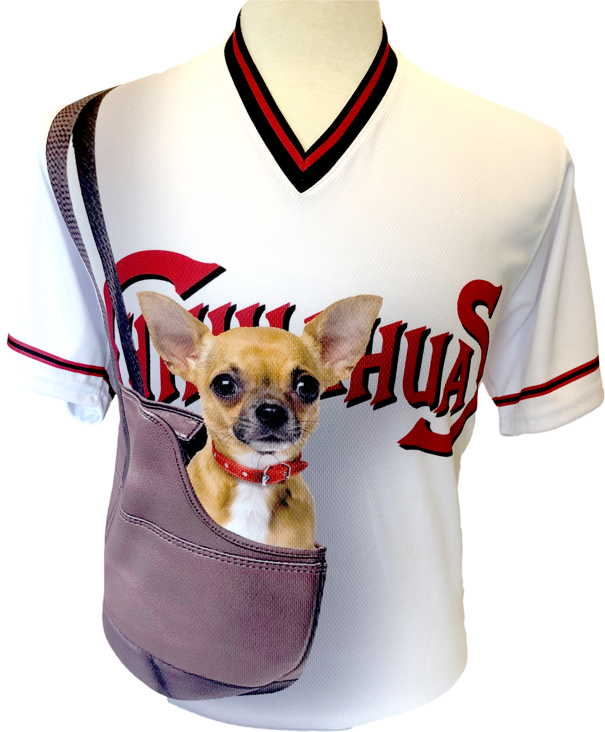 Chihuahuain Sports Jerseyand Sling Bag PNG image