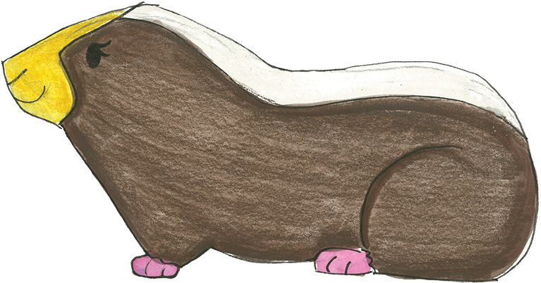 Childs Drawingof Guinea Pig PNG image