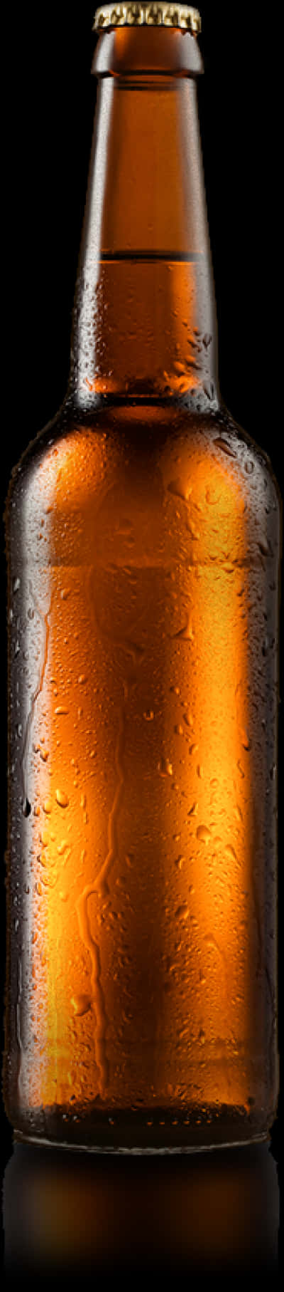 Chilled Beer Bottle Against Black Background PNG image