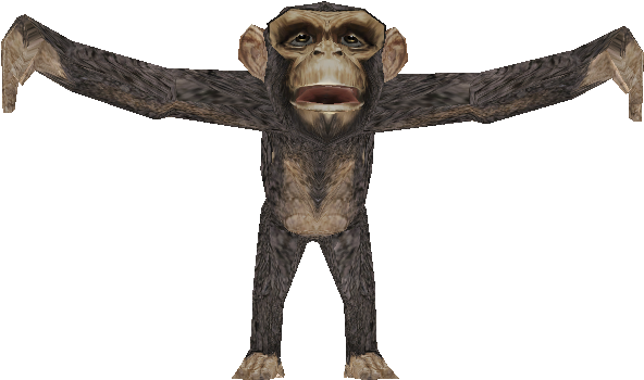 Chimpanzee Arms Spread Wide PNG image