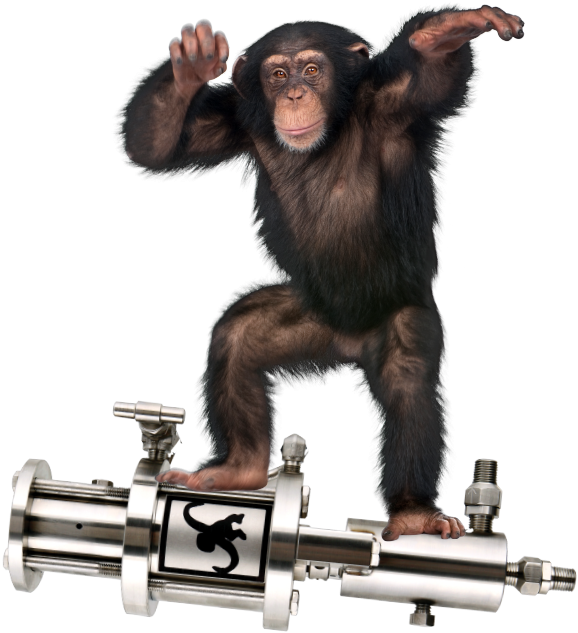 Chimpanzee On Metal Apparatus PNG image