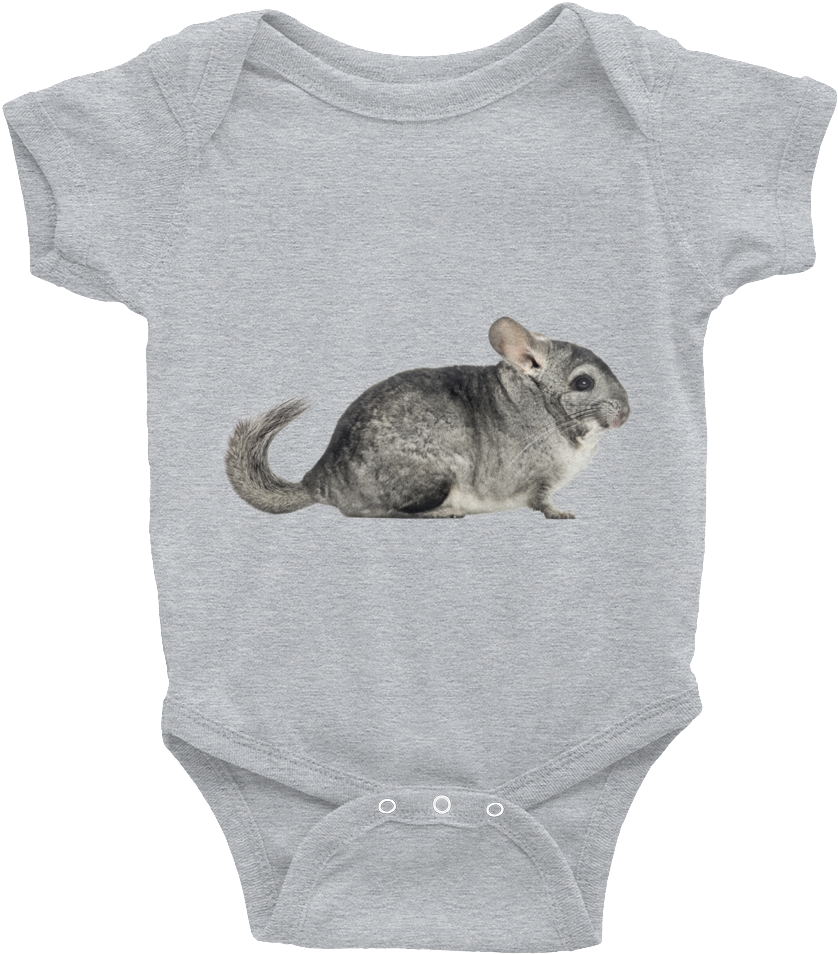 Chinchilla On Baby Onesie PNG image