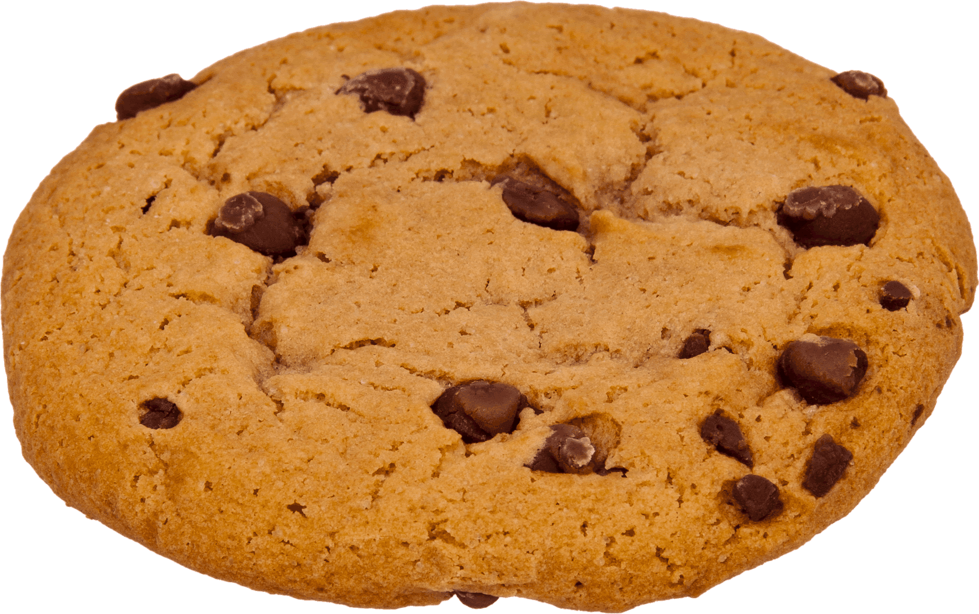 Chocolate Chip Cookie Transparent Background PNG image