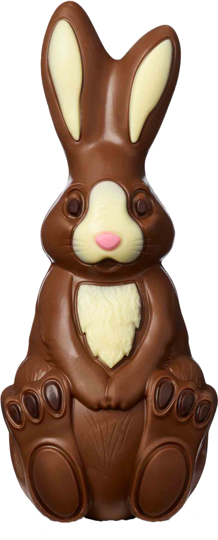 Chocolate Easter Bunny PNG image