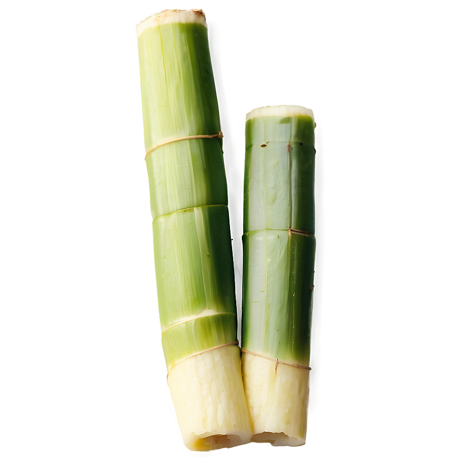 Chopped Sugarcane Pieces Png Ctn PNG image