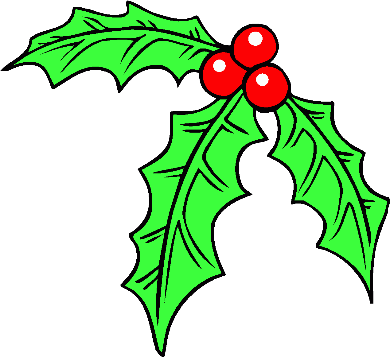 Christmas Holly Clipart PNG image