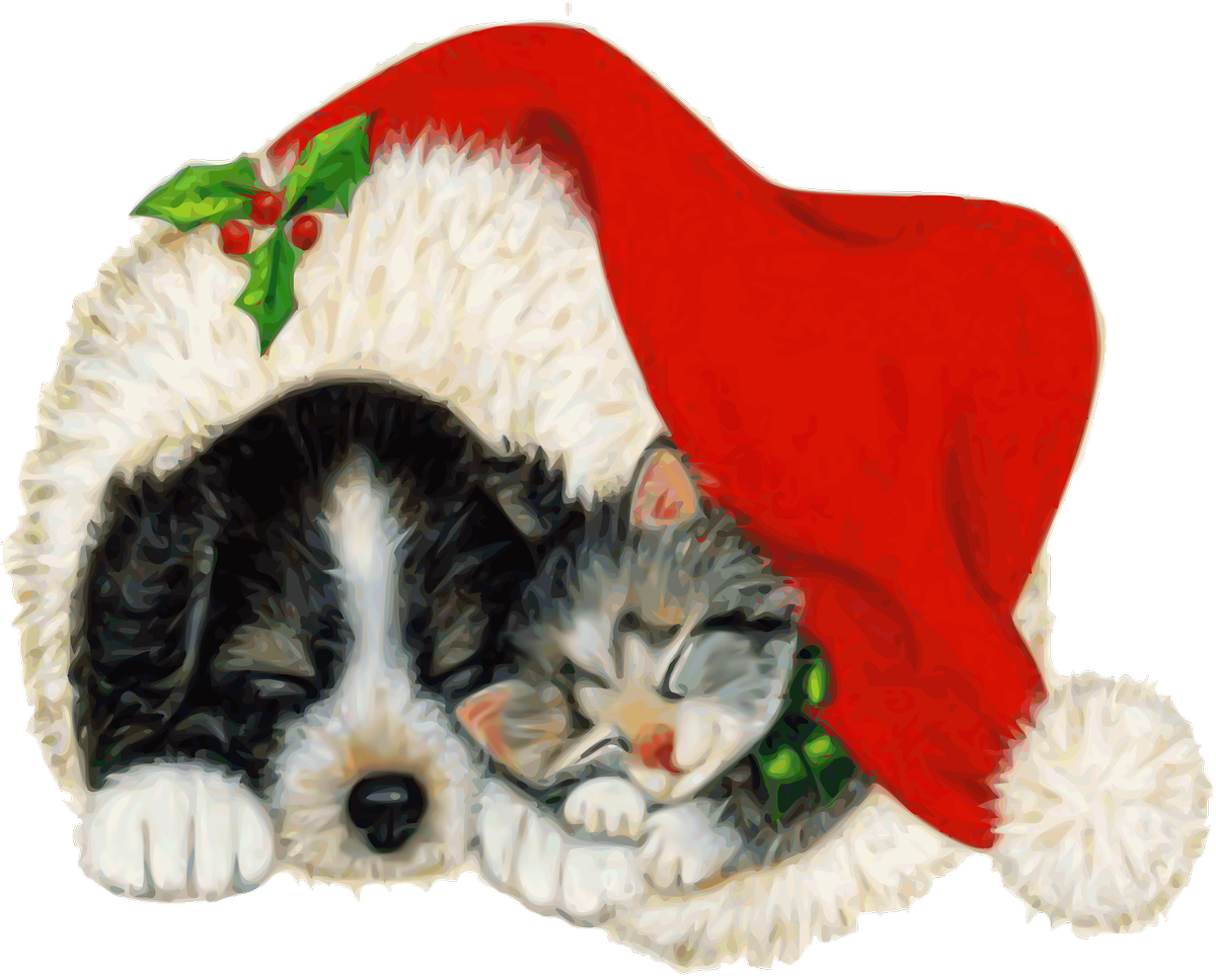 Christmas Kittenand Puppy Napping PNG image