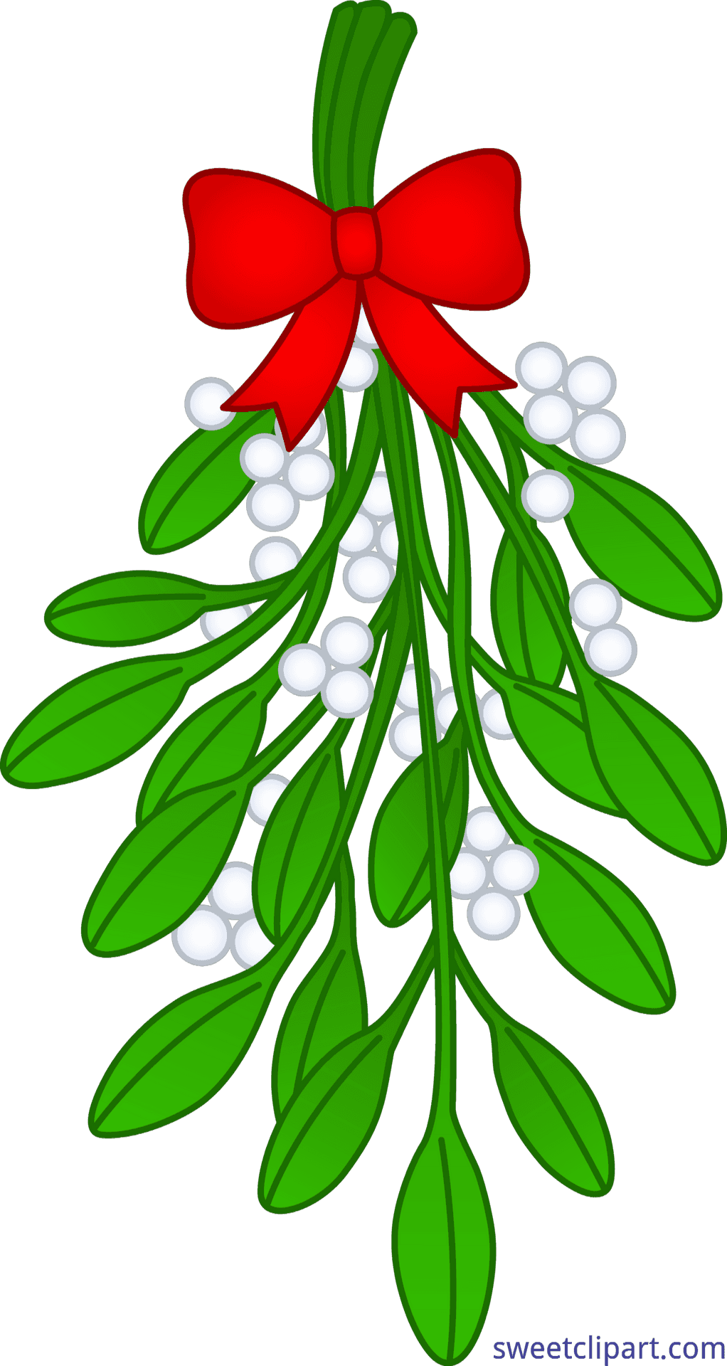 Christmas Mistletoe Clipart PNG image