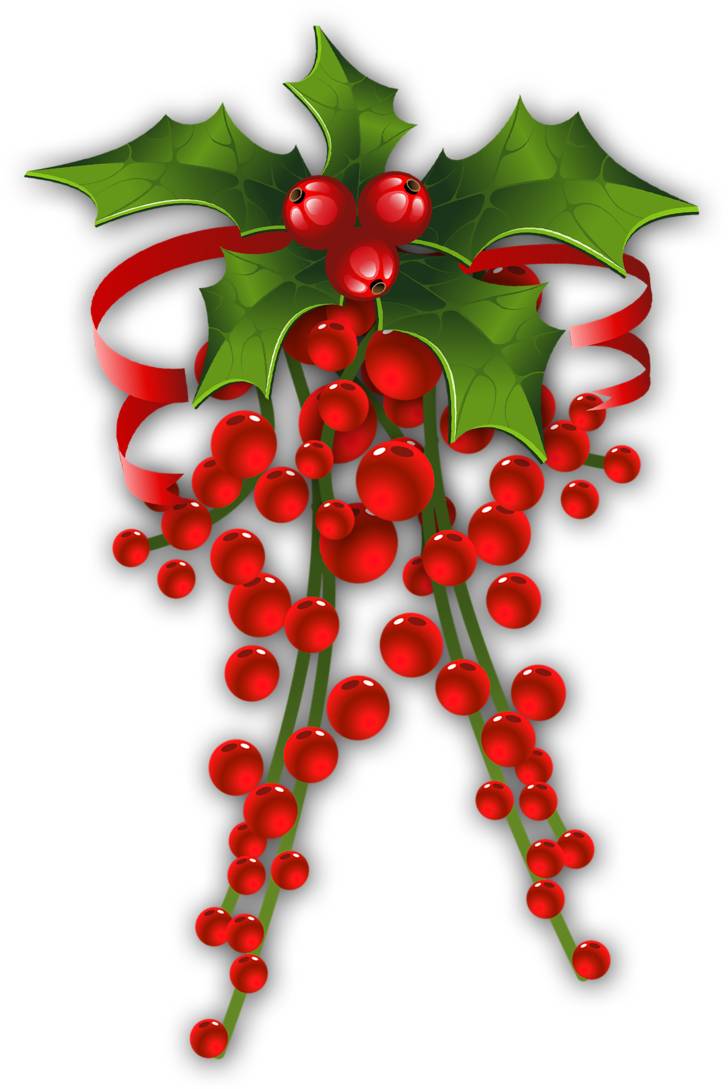 Christmas Mistletoe Illustration.png PNG image