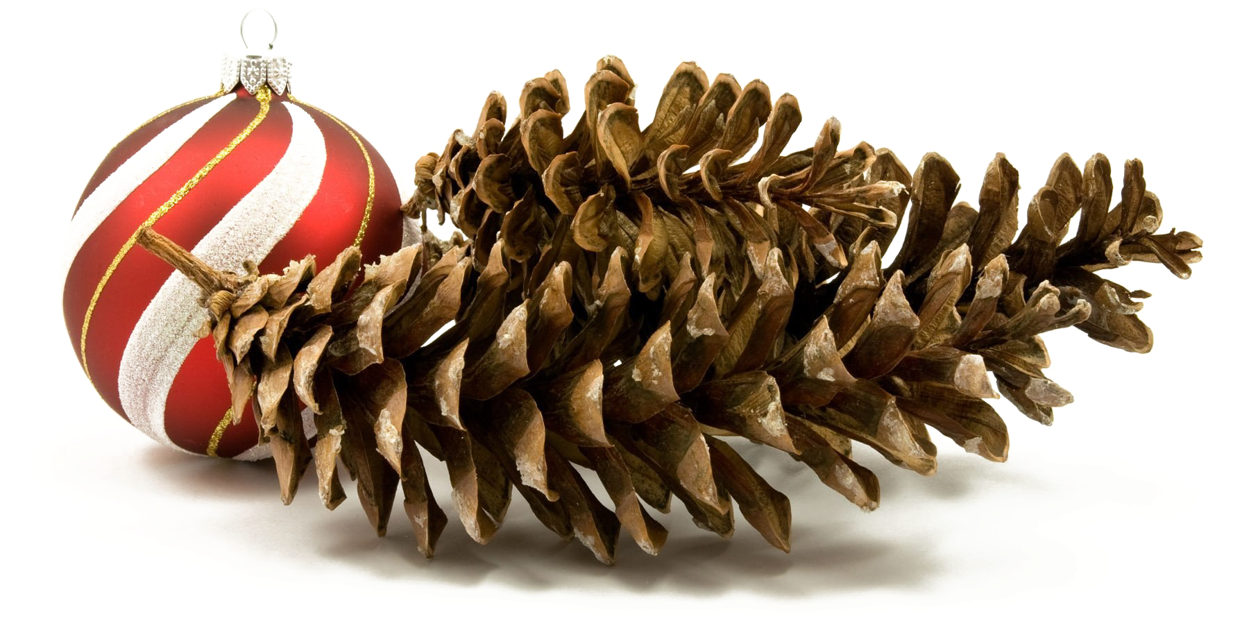 Christmas Ornamentand Pinecones PNG image