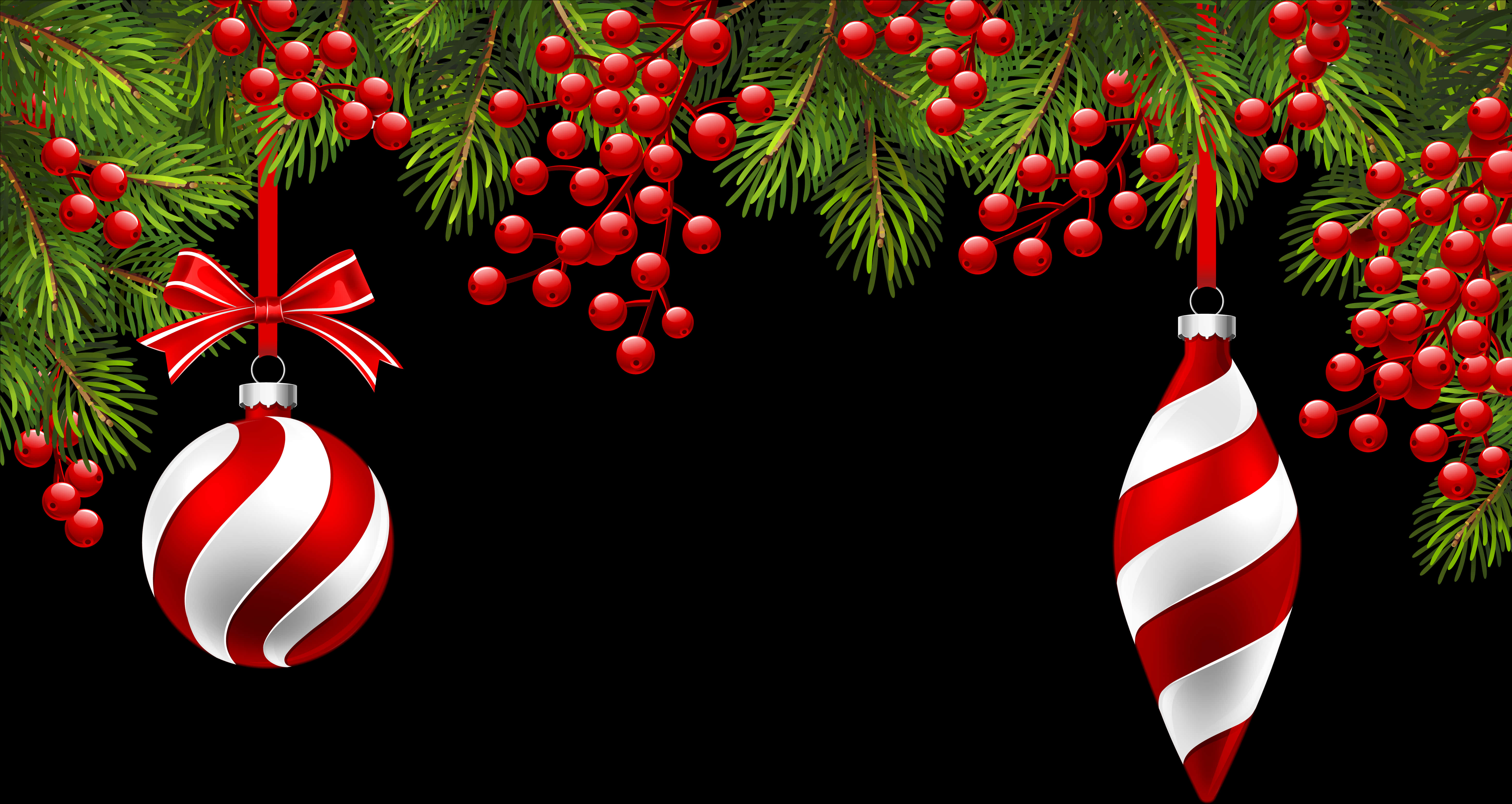 Christmas Ornamentsand Berries PNG image