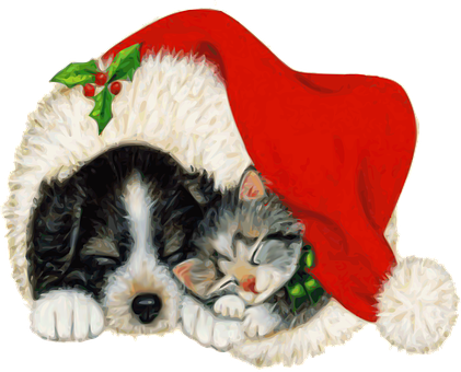 Christmas Puppy Kitten Nap PNG image