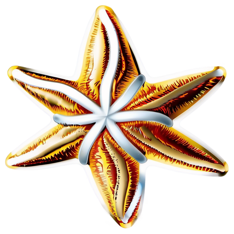 Christmas Star Design Png 40 PNG image