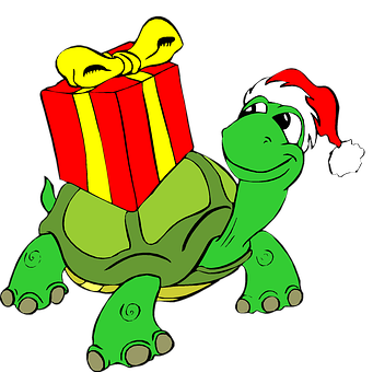 Christmas Turtlewith Gift PNG image