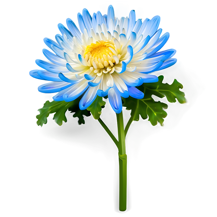 Chrysanthemum Flower Transparent Png Gix14 PNG image