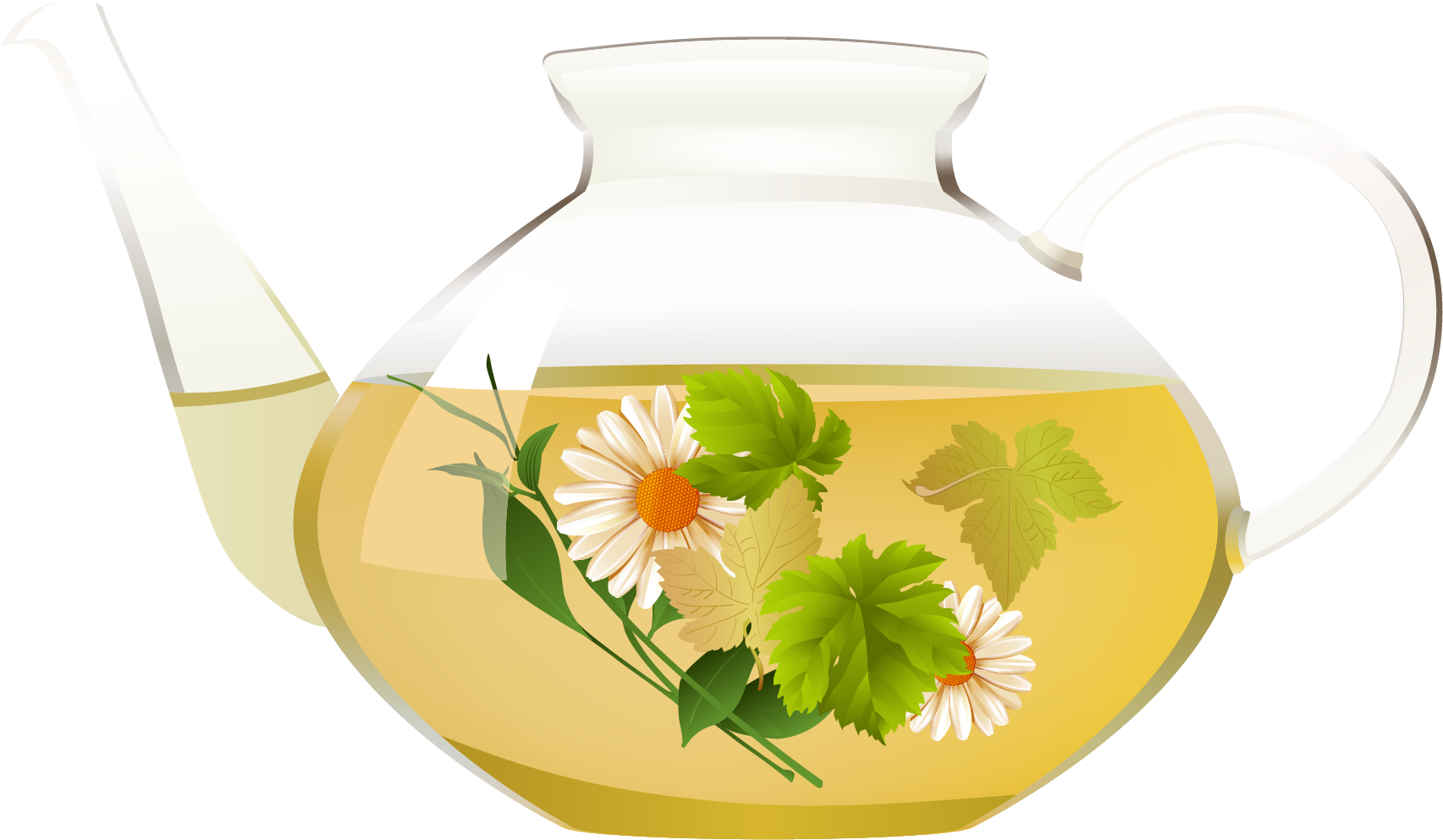 Chrysanthemum Teain Glass Teapot PNG image
