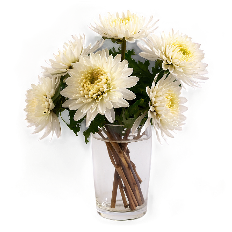 Chrysanthemums In Vase Png Pns80 PNG image