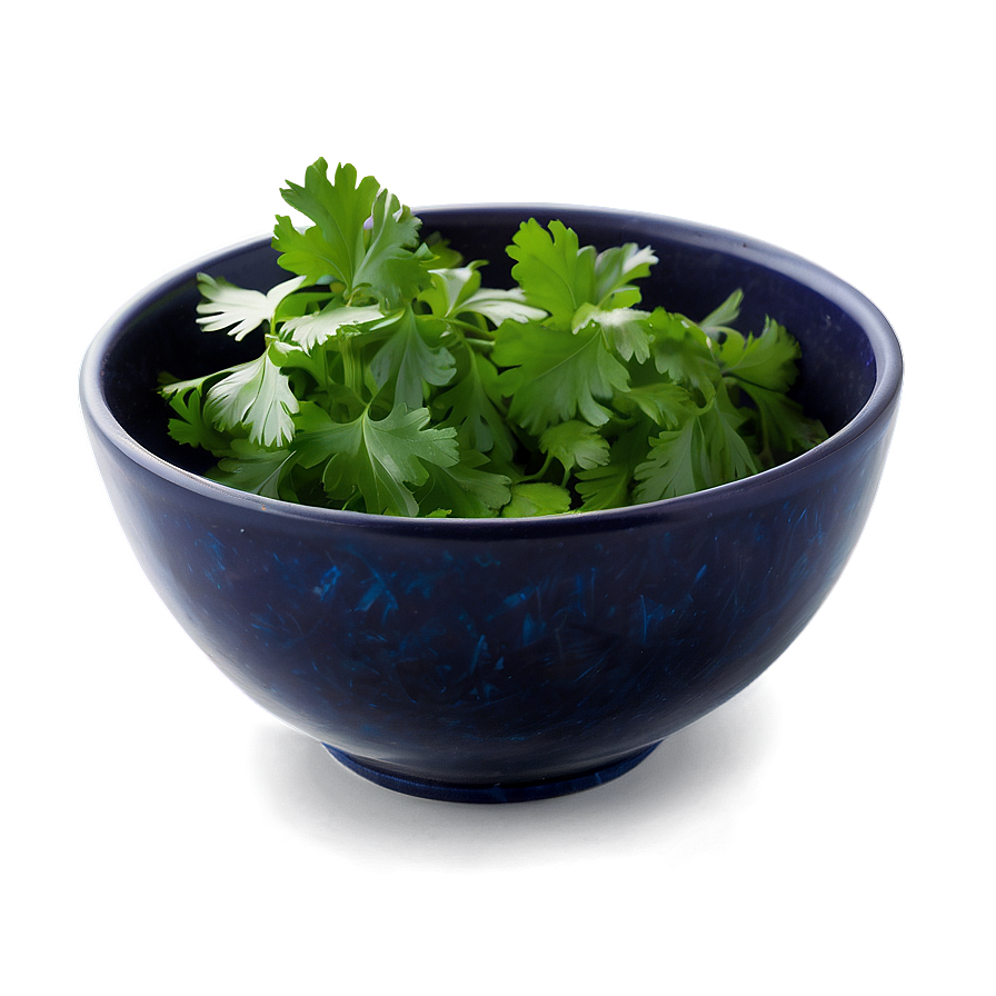 Cilantro In Bowl Png 38 PNG image