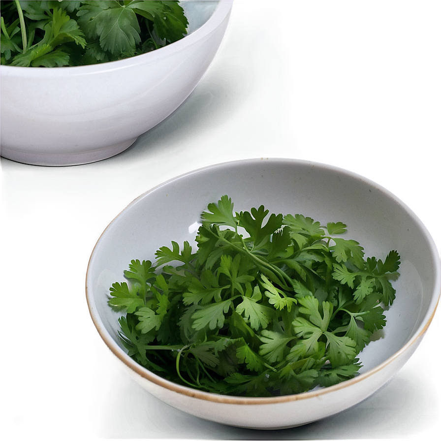 Cilantro In Bowl Png Ian45 PNG image