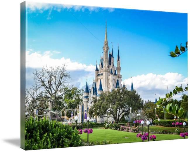 Cinderella Castle Disney Park View PNG image