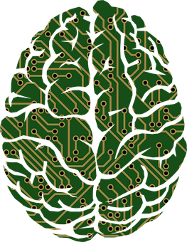 Circuit Board Brain Illustration PNG image