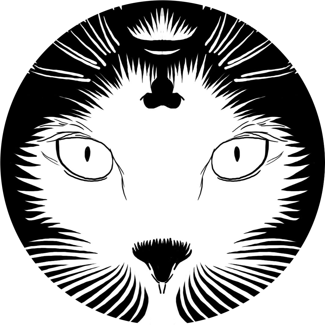 Circular Cat Illusion PNG image