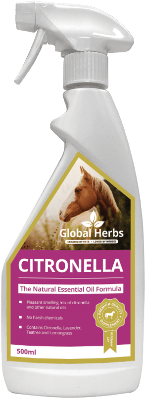 Citronella Spray Bottle Global Herbs PNG image