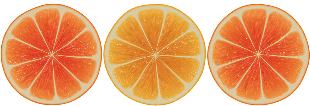 Citrus Slices Triptych PNG image