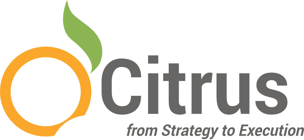 Citrus Strategyto Execution Logo PNG image