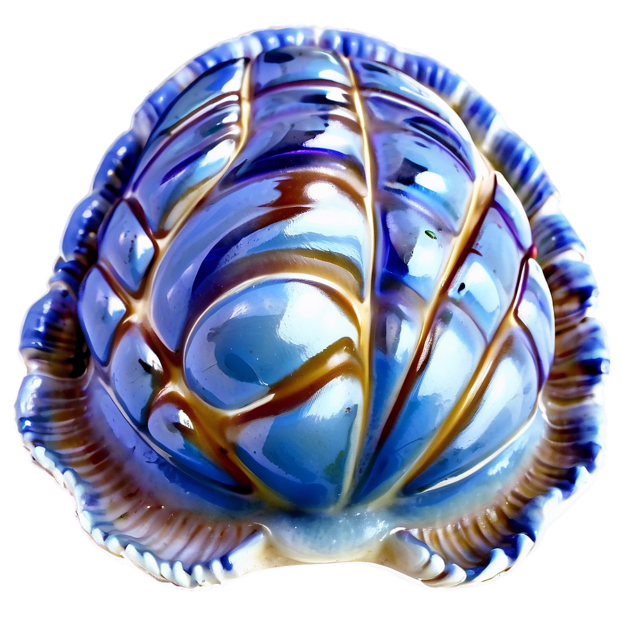 Clam On Beach Sand Png Jpe PNG image