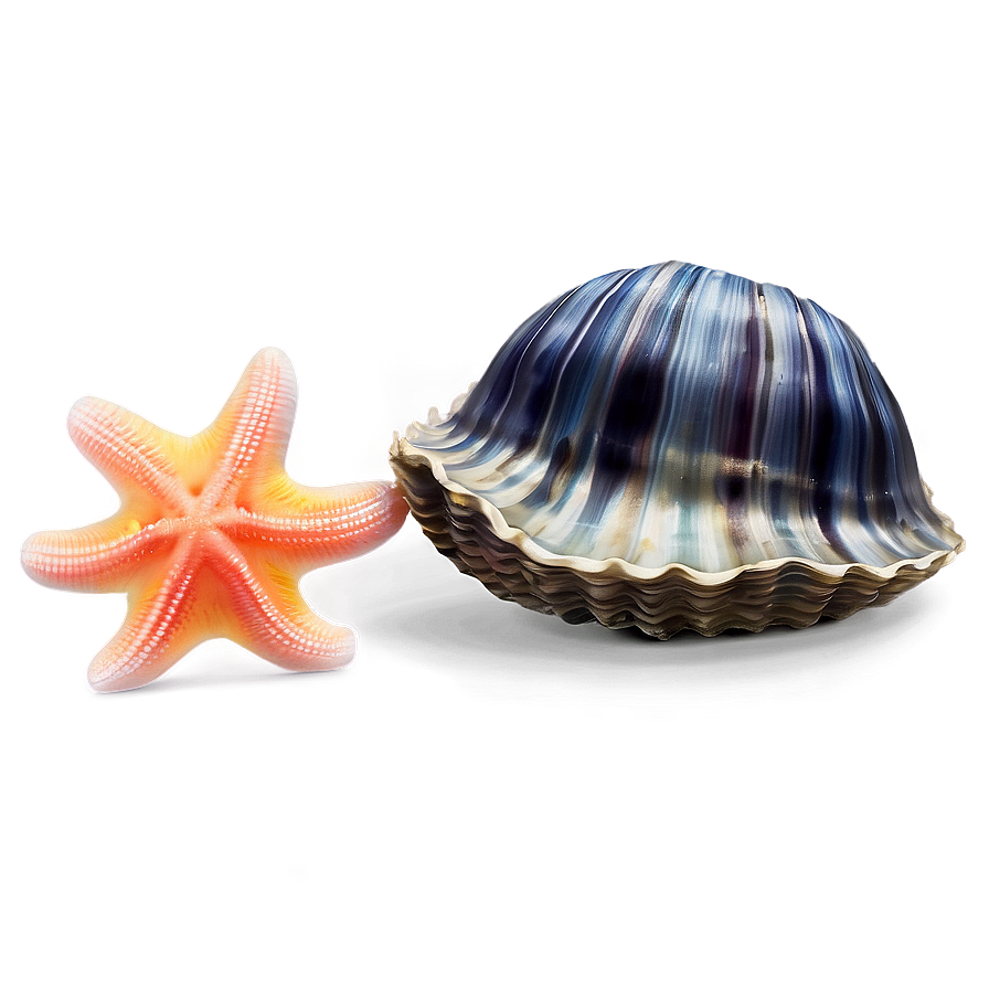 Clam With Starfish Png Jnm PNG image