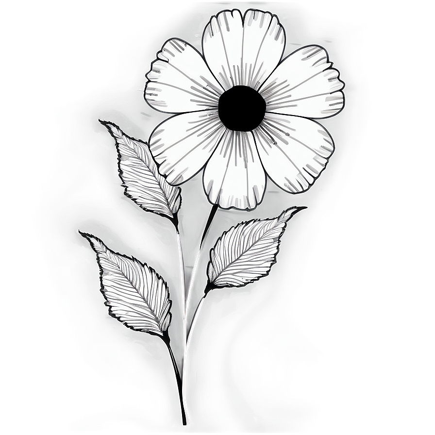 Classic Black And White Floral Png 06282024 PNG image