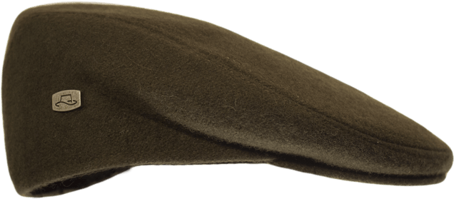 Classic Brown Flat Cap Side View PNG image