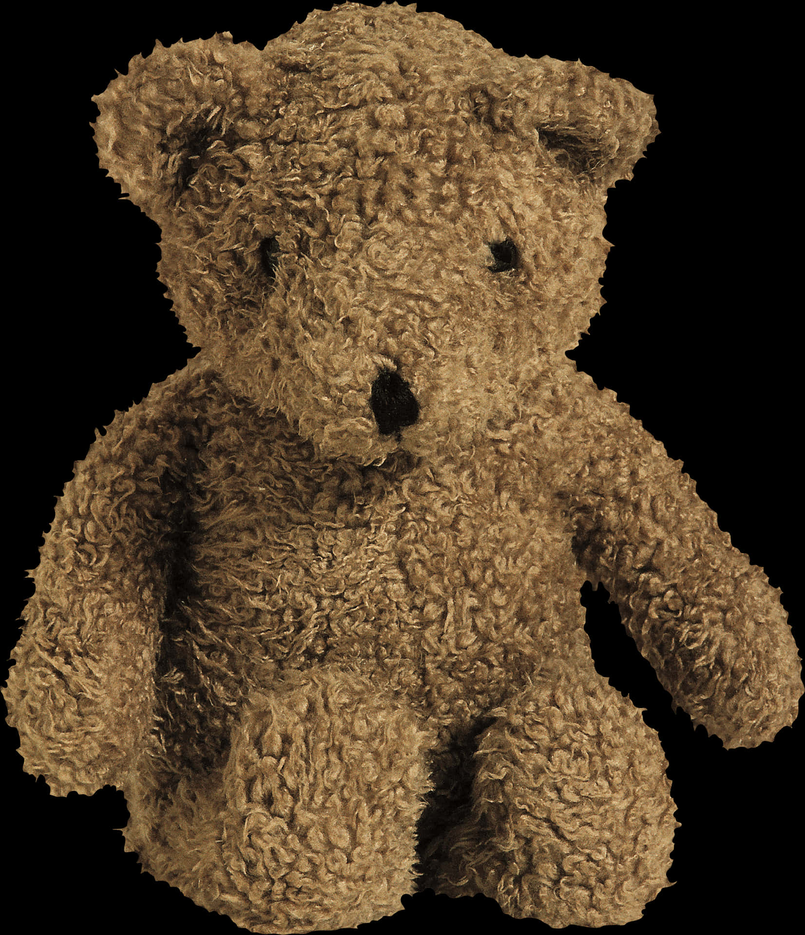 Classic Teddy Bear Portrait PNG image