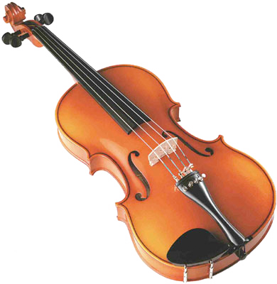 Classic Violin Isolated PNG image