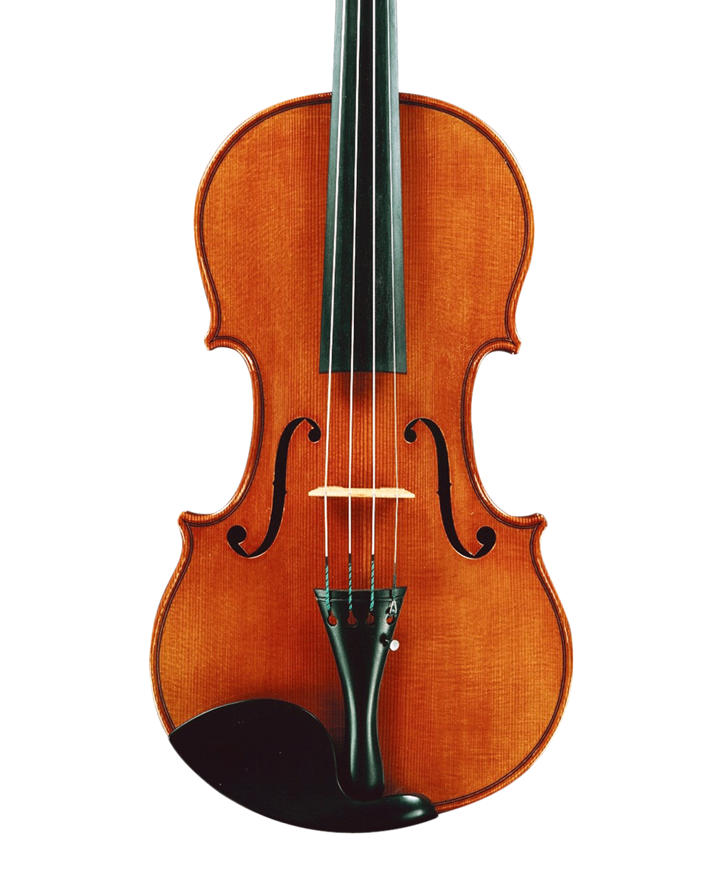 Classic Violinon Black Background PNG image