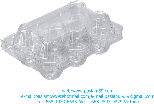 Clear Plastic Egg Carton PNG image
