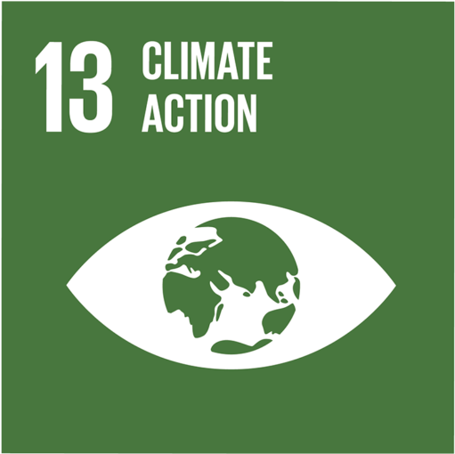 Climate Action Goal13 Icon PNG image