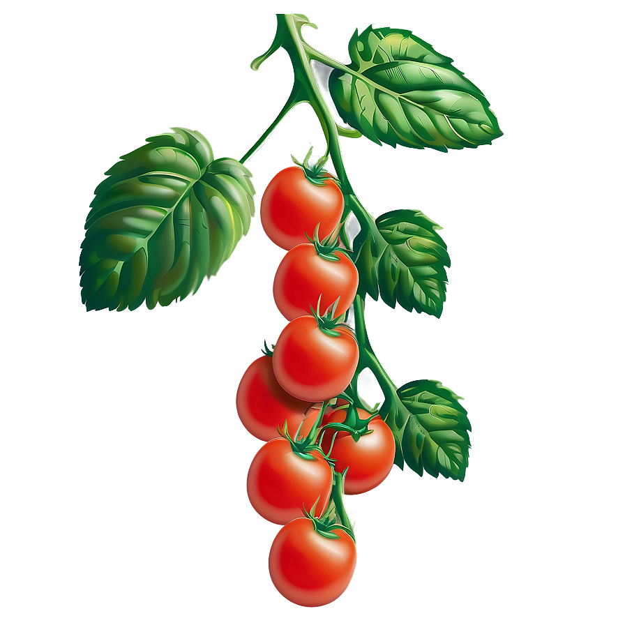 Climbing Tomato Plant Png Mds PNG image