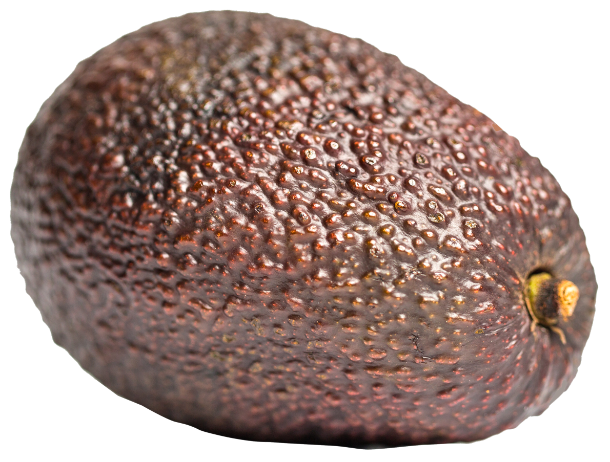 Close Up Avocado Skin Texture PNG image